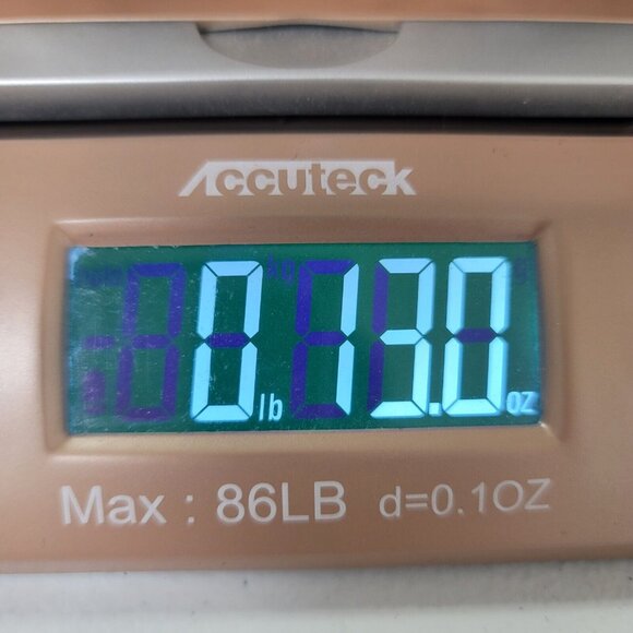 Madewell Women T Back Floral Halter Neck Midi Dress Size 14 Painted Blooms Pink - Picture 15 of 15